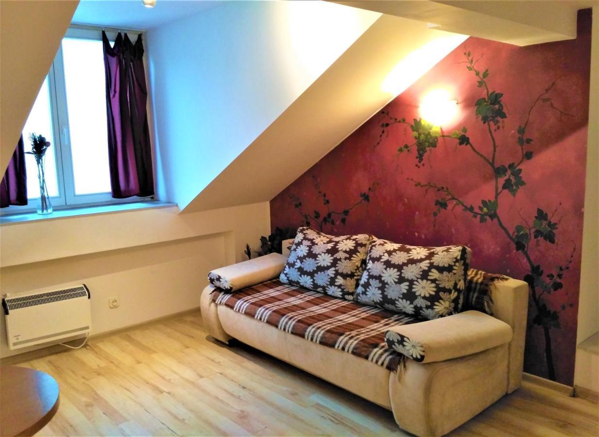 Krakow City Centre Apartment - Bon Turystyczny Eksteriør billede